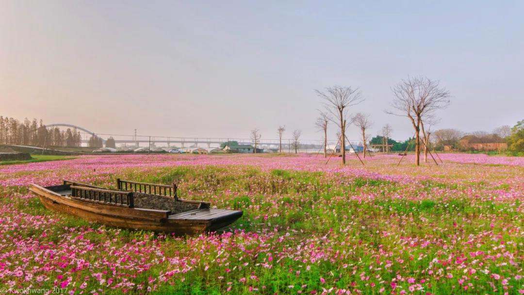 3月9日起!梦里水乡景区,贤鲁岛生态旅游度假区将有序开放!